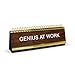 Genuine Fred Daily Desk Plaque Desktop Flip Book, assorted