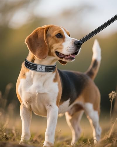 Joytale Halsband Hund, Weich Hundehalsband Gepolstert Neopren Hunde Halsband für Mittelgroße Hunde, Nylon Reflektierend Breit Halsbänder, Schwarz