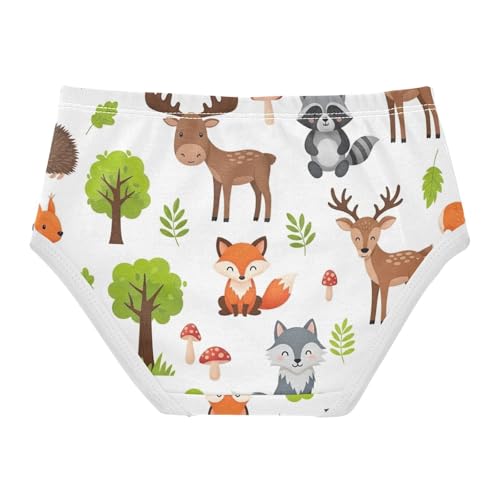 Kids Underwear Girls, Cute Woodland Animals Bears Toddler Girl Panties, Cotton Underwear Girls, 2T–8 Years2