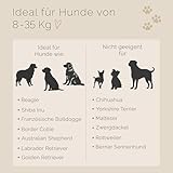 Tailoir Hundeleine 2m geflochten - Leine Hund, Mittelgroße - Große Hunde, Leine verstellbar, Hundeleinen, Dog Leash Führleine, Bissfeste Hundeleine zum Umhängen, Trainingsleine, Freihandleine Paracord