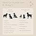 Tailoir Hundeleine 2m geflochten - Leine Hund, Mittelgroße - Große Hunde, Leine verstellbar, Hundeleinen, Dog Leash Führleine, Bissfeste Hundeleine zum Umhängen, Trainingsleine, Freihandleine Paracord