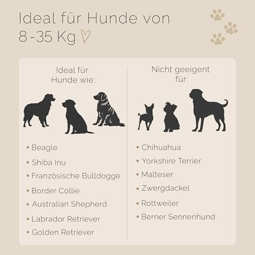 Tailoir Hundeleine 2m geflochten - Leine Hund, Mittelgroße - Große Hunde, Leine verstellbar, Hundeleinen, Dog Leash Führleine, Bissfeste Hundeleine zum Umhängen, Trainingsleine, Freihandleine Paracord