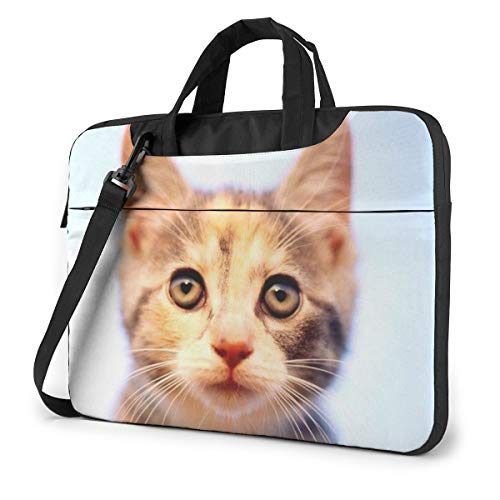 DŜL PCP[X m[gp\RobO bvgbv یP[X PCobO Ռz y rWlXobO nhobO u[tP[X 񂰃obO t ΂ߊ|obO 13/14/15.6C`