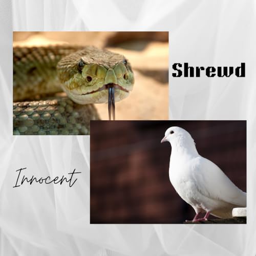 ADDBIBLE&reg; Matthew 10 - Shrewd as Serpents, Innocent as Doves