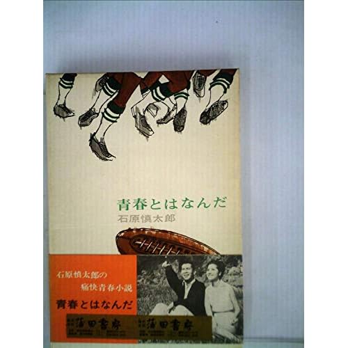 青春とはなんだ（ドラマ）