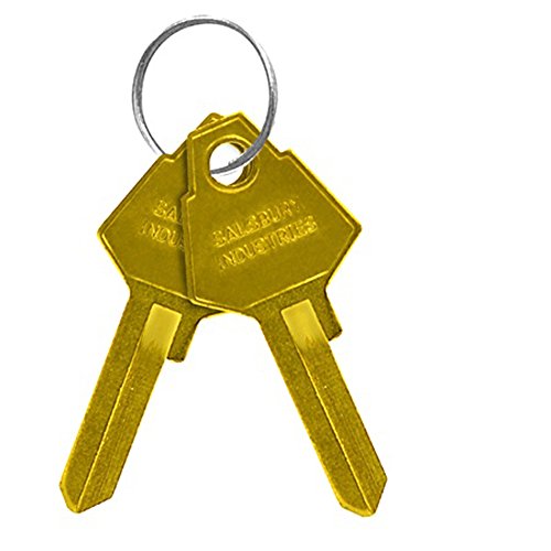 Image of Salsbury Industries 11125 Key Padlock with Gold Finish Hasp for Solid Oak Executive Wood Locker Door