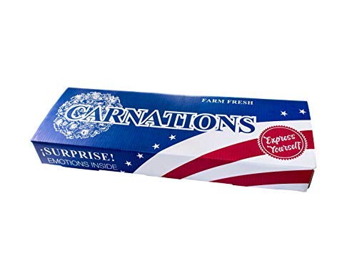 Flower Prime Flowerprime 100 Mother'S Day Carnations - Special Holiday Variety Pack Fresh Natural Cut Flowers thumb #6