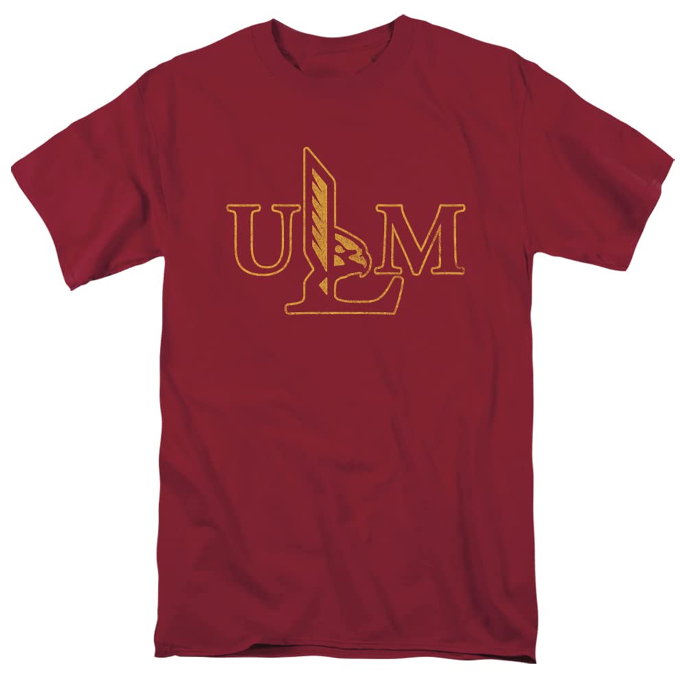 LOGOVISION Official Collegiate Distressed Primary Logo Adult T-Shirt Collection — view 38