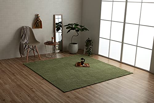 イケヒコ ラグ カーペット マット プリーム 約90×185cm グリーン オールシーズン シンプル オーバーロック #3985449
