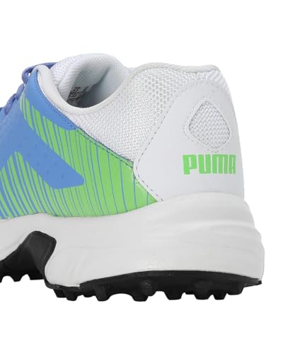 Image of Puma Men Cricket Power Cricket Shoe