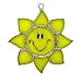 Switchables Glass Cover, Sunshine