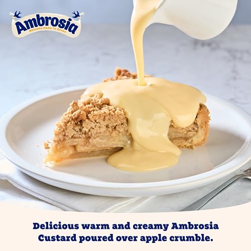 Ambrosia Devon Custard, Creamy & Delicious Ready-to-Eat Dessert, Traditional British Favourite, 500 g Carton (Pack of 1)
