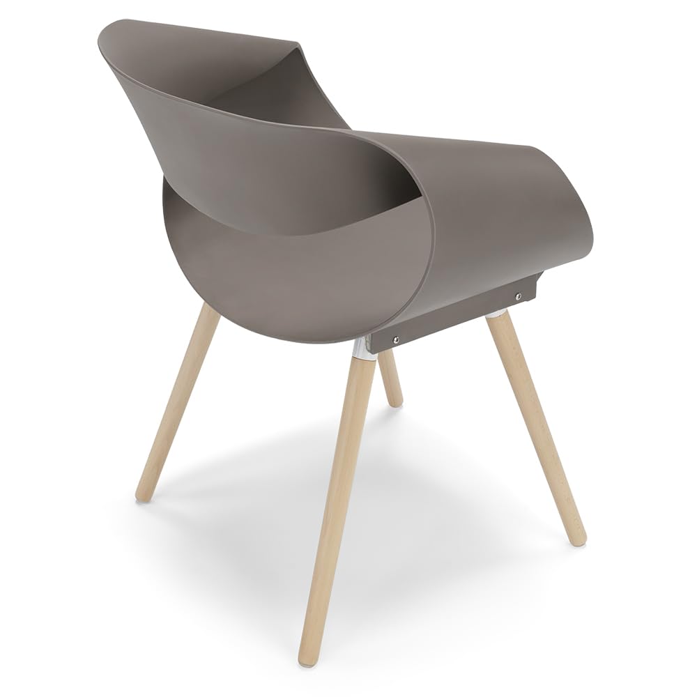 REDÒKASA Set 4 sedie in polipropilene DILETTA con gambe in faggio, resistente ai raggi UV, design moderno, ideale per sala da pranzo, cucina, sala d’attesa, bar, ristoranti (Tortora, 4)