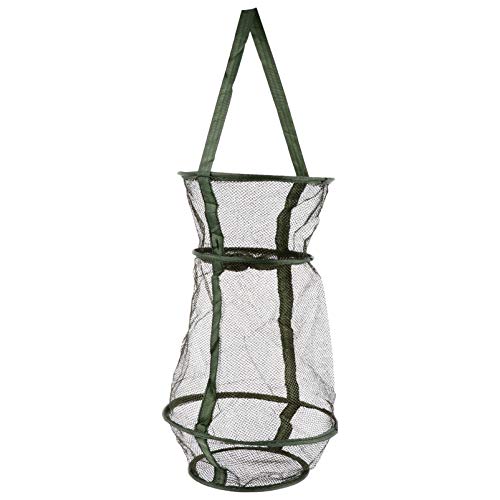 BESPORTBLE 25 cm, rede de pesca, armadilha dobrável para pesca, gaiola de pesca, cesta de pesca para