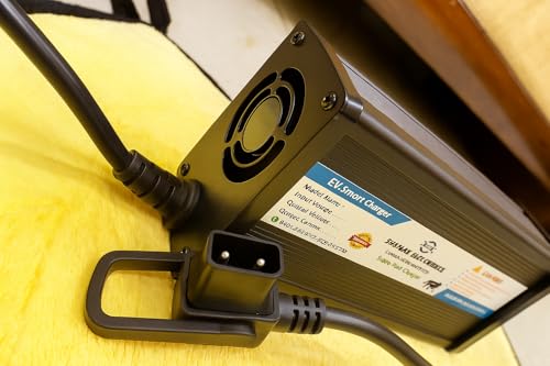 Image of Okinawa Praise pro and Iprase+ Charger | D-Type 2 pin Connector | 06+10 Month Warranty | 72V Input and Output 84V 10A Lithium Battery Charger
