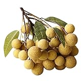 Accessoire de simulation de - modèle de faux fruit est solide, pas facilement déformé ou cassé, et décoration de artificielle