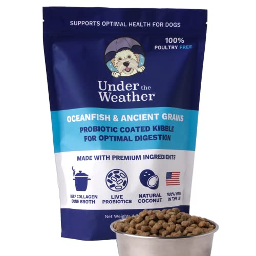Top 10 PoultryFree Dog Foods with Grains The Ultimate Guide to
