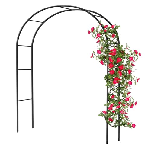 Arche de jardin en métal robuste et durable pour valoriser un extérieur de prestige