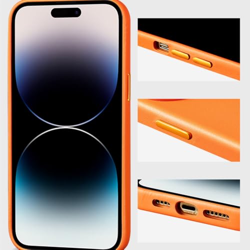 Housse de chargement magnétique iPhone 13 Pro Max coque cuir vert clair