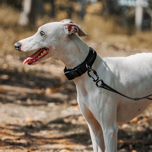OneTigris Hundehalsband Kleine Hunde, Taktisches Hundehalsband mit Griff, Weich Gepolstert Breites mit Kunststoffschnalle und Ring aus Aluminiumlegierung, Schwarz, XS(25-33cm)