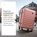 Travely Koffer Groß 67cm L - 60L Innenvolumen - sehr robuster Hartschalenkoffer mit sanften Rollen & TSA Schloss, Reisekoffer, Handgepäck Koffer, Reisekoffer mit Rollen