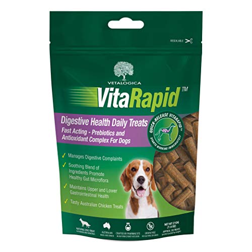 digestive remedies for dogs