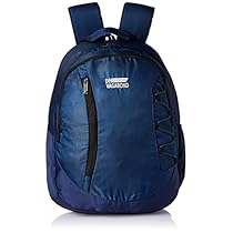 Devagabond Rebond Shine 30 L Capacity Polyester Casual Backpack (Blue)