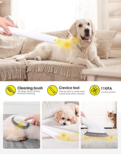 Dog Grooming Kit, 3.3L Pet Grooming Vacuum with Storage Bag, Dog Cat Grooming Supplies with Low Noise, Professional Grooming Tools Kit for Dogs Cats Animals - Image 6