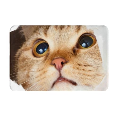 ���փ}�b�g��������L�L���ʔ����˂�(2)�A�j�������}�b�g�z�������R�ۖh�L�o�X�}�b�g�z������~�ߖh�J�r�������L���o�X���[���L�b�`���l�G���p�J�[�y�b�g���킢���v���[���g40×60cmR5T6Y88