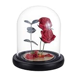 Diseño extraíble: estas campanas de vidrio están equipadas con una bandeja de madera, por lo que puedes moverlas fácilmente, mientras que la base de madera negra les da un efecto decorativo único.