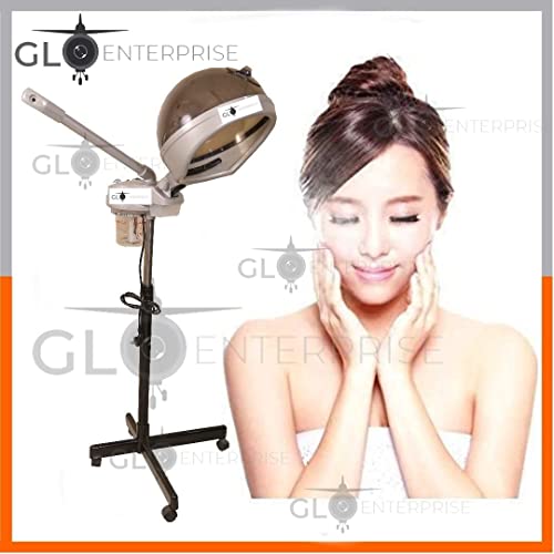 Labros 2in1 Facial Steamer And Hair Steamer Face Sauna Humidifier Hot