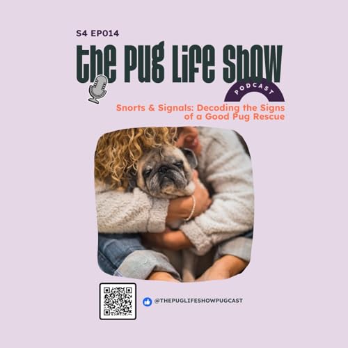 S4 EP14: Snorts & Signals: Decoding the Signs of a Good Pug Rescue