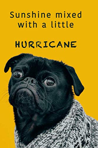 Sunshine mixed with a little hurricane