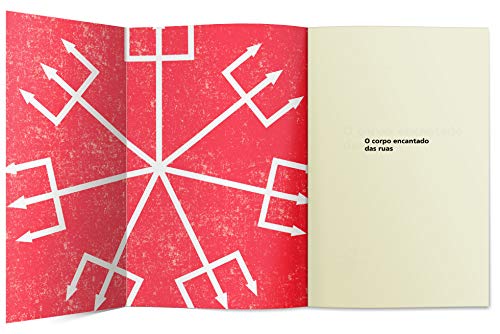 O corpo encantado das ruas