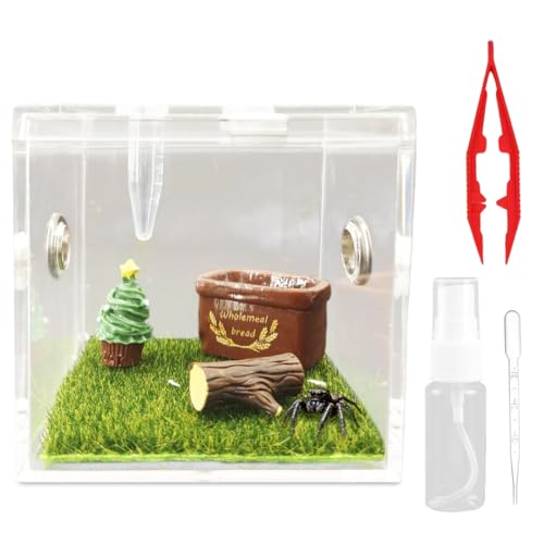 w偎P[X J}LE^`P[X ~jw偃{bNXP[W AN w偐 w偈Dƌ X^C2