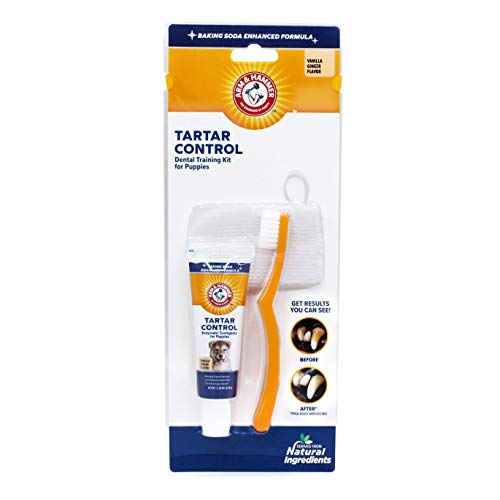Arm & Hammer for Pets Tartar Control Dental Training Kit for Puppies | Toothbrush, Toothpaste, & Fingerbrush | Vanilla Ginger, Puppy Training Kit - Image 3