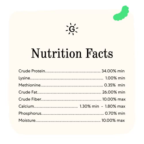 Grubblies - Healthier Than Mealworms for Chickens - Chicken Feed Supplement with 50x Calcium, Black Soldier Fly Larvae, Chicken Treats, Natural Grubs for Chickens, Hens, Grown in The USA and CA - 1 LB - Thumbnail 6