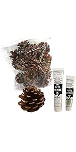 松ぼっくりのパステル画 松ぼっくり 2個 水彩画 切り抜き イラスト素材 [6544141] - フォト