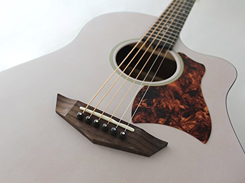 Amazon | FGN (Fujigen フジゲン 富士弦) AG1-TWF Acoustic Guitar