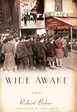 Wide Awake: A Novel