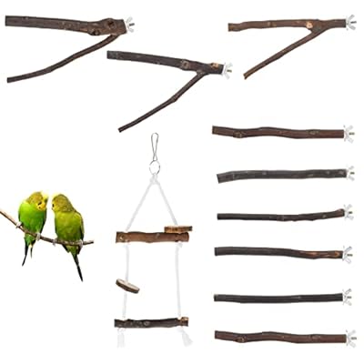 Bird Parrot Perch Stand Set - 10 PCS Small Bird Parakeet Swing Toys, Natural Wood Fork Perch Rod Stand Bird Cage Accessories for Pet Budgies Cockatiels Conure Lovebirds (10Pcs)
