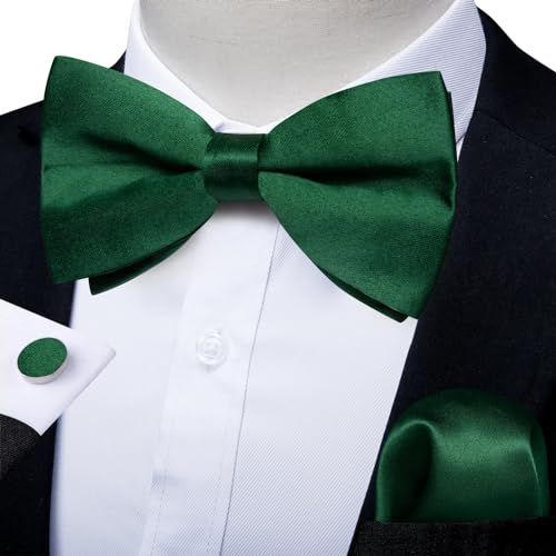 Set de corbata de moño de seda preanudada para fiesta miniatura 3