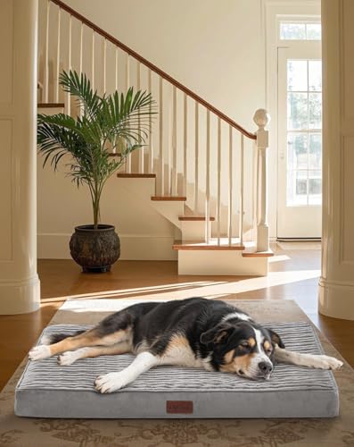 OhGeni Orthopedic Waterproof & Machine Washable Dog Bed for Medium Large Pets