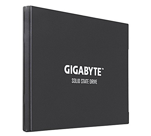 Build My PC, PC Builder, Gigabyte GP-GSTFS30256GTTD