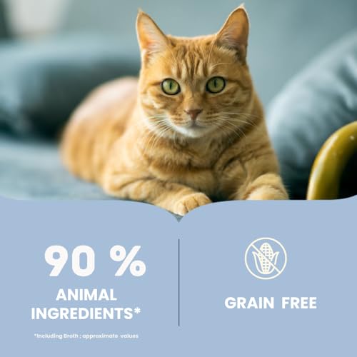 Image of Brunos Cat Wet Food - Mackerel & Tuna - 85g (Pack of 6) | Cat & Kitten|90% Animal Ingredients | Grain-Free | Hydrating Fish Broth, Taurine Support & Complete Nutrition for Healthy Skin Vitality