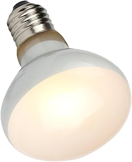 VILLFUL 1 Peça Lâmpada De Calor De Tanque De Tartaruga Lâmpada De Calor De Lagarto Lâmpada De Calor De Lagarto Terrários De Frango Luz Aquecedor De Lâmpada De Aquecimento Lâmpada De