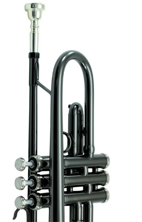 Sky Bb Trumpet with Case, Cloth, Gloves, and Valve Oil, Guarantee (Black Nickel)