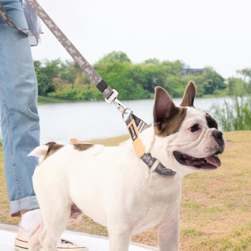 Premium Dog Collar and Leash Set,Pawereen Heavy Duty Collar and Leash Set for Small Medium Large Dogs, Adjustable Eco-Friendly Recycled Polyester Webbing,Full Metal Buckle, 5.2 ft Length,Size S|Bamboo - Image 3