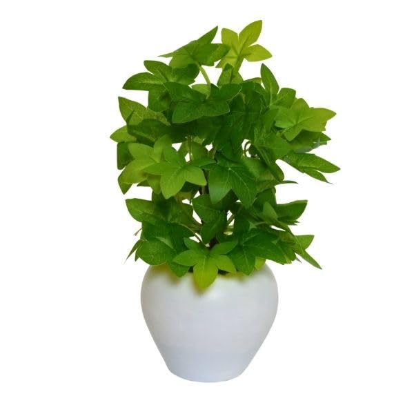 Image of fancymart Artificial Plant Leaves in Apple Pot (30 cm Height) | Small Potted Plant for Office Desk | Home Decor for Living Room | Cafe & Restaurant Table Decoration