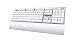 Azio USB Mechanical Backlit Keyboard for Mac (Brown K-Switch)